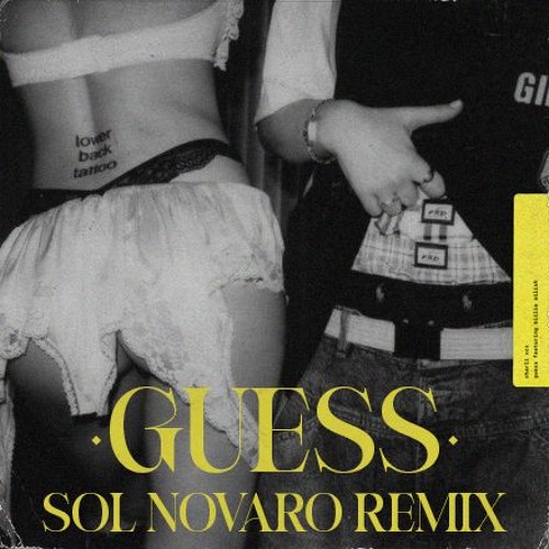 Stream Charli xcx, Billie Eilish Guess (Sol Novaro Remix) [Supported by Antdot] FILTERED FOR
