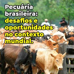 Pecuária brasileira - desafios e oportunidades no contexto mundial