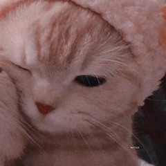 cats - the living tombstone [sped up]
