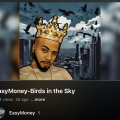 EasyMoney -Birds in the sky-Hook-2.wav