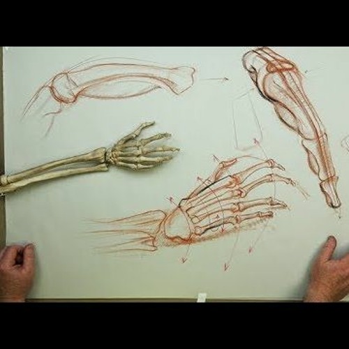 If Only Bones Could Talk