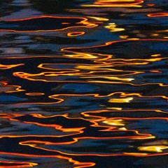 SOMBRAS EN EL PARAÍSO