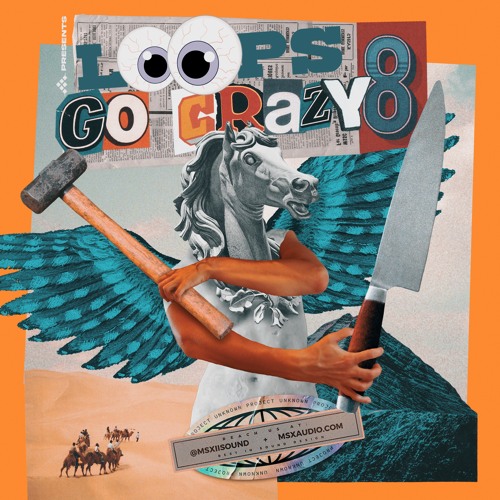 Loops Go Crazy Vol. 8 Demo