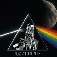 Duck Side of the Moon | Sisyphos Dampfer 2025