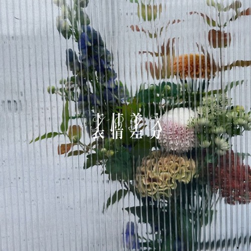 DUSTCELL - 表情差分 (Different Expression)