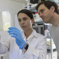 Entrevista Gregorio Iraola