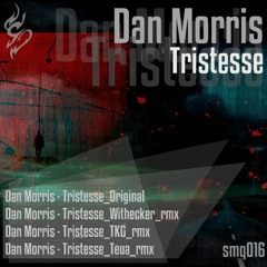 Dan Morris - Tristesse (Teua Remix)