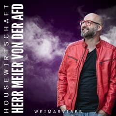 Herr Meier Von Der AFD (HouseWirtschaft Official Remix)