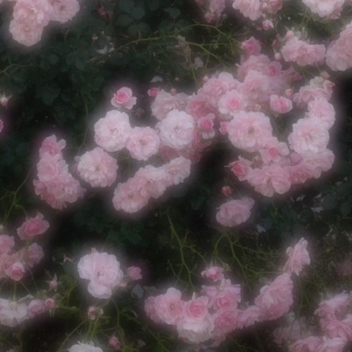 SA VÀO NGUY HIỂM X GÓI TRỌN HỒI ỨC TRAO ANH REMIX