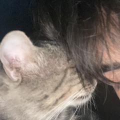 Comida pa la panza ft Sebastian Hau