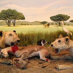 vieux projet pas fini #6 : trubadur ganjai