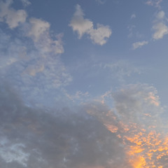 Dreams