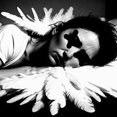 THE FEATHERS ARE GETTING HEAVY