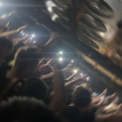 Gorilla Punk x NEVERLOVEWEBSTER - nosebleeds