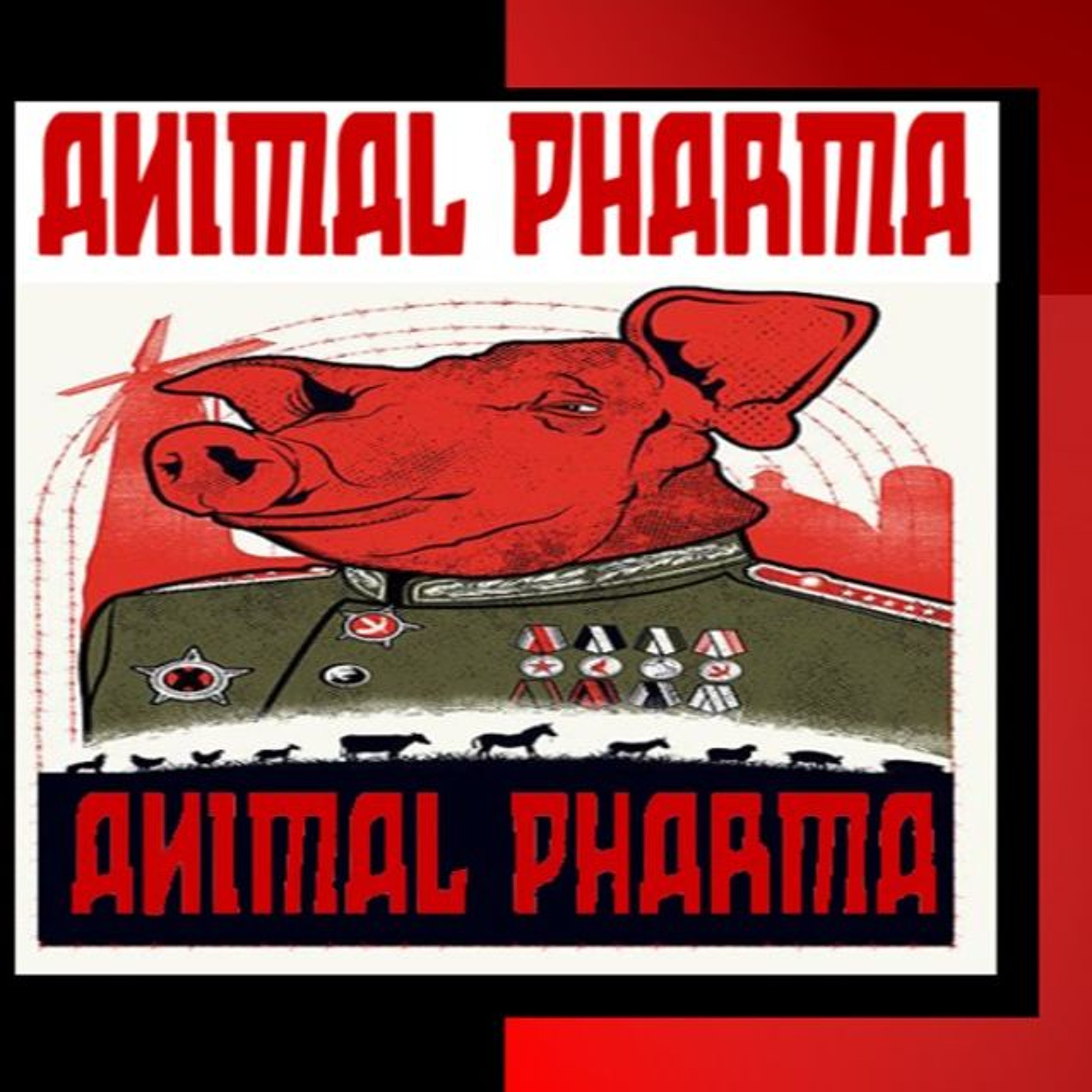 Show sample for 6/24/24: ANIMAL PHARMA W/ AMBER KING