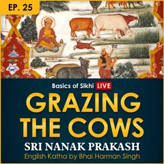 #25 Grazing the Cows | Sri Nanak Prakash (Suraj Prakash) English Katha