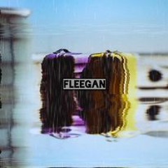 Fleegan - Baggage