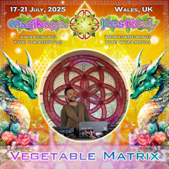 Magikana Festival | Vegetable Matrix | July 2025
