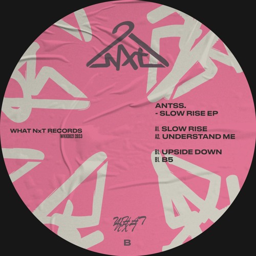 Antss - Upside Down (snippet) [What NxT]