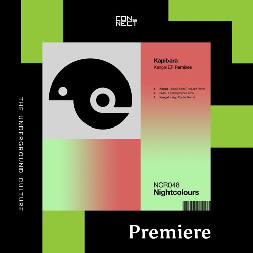 PREMIERE: Kapibara - Felis (Underspreche Remix) [Nightcolours Recordings]