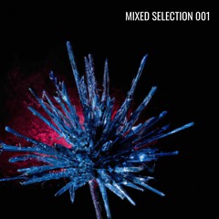 Mixed Selection 001 - Mini Deep Tech Something Mix