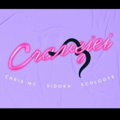 Chris x Sidoka x Ecologyk - CRAVEJEI