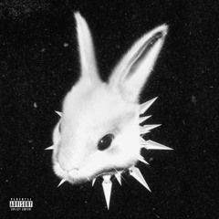 rabbits out a hat