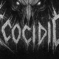 Ecocidio-concierto-Guarne