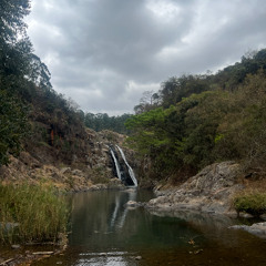 M & AM