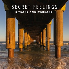JFR - Secret Feelings Vol 24 (2 Years Anniversary)