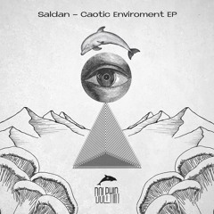 SALDAN - This Is Not A Simulation (Original Mix)