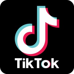 TikTok (Twerrk Song)