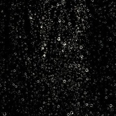 MELODIC 2510 CLO CAVALLO