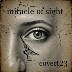Miracle Of Sight By Covert23...xxx