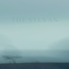 07 The Sylvan