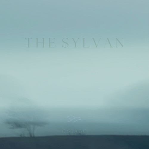 07 The Sylvan