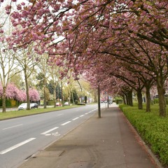 Như Mùa Tuyết Đầu Tiên - Văn Mai Hương Cover