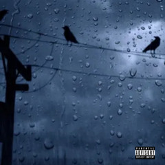Weather