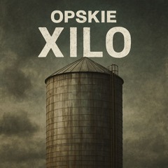 Xilo