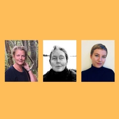 Anne Carson – Poesi mellom forskning og oversettelse