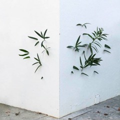 | Premiere | Chiodan - Over The Garden Wall