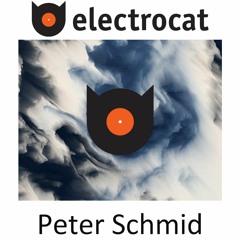 Electrocat - Peter Schmid 04.07.2022.