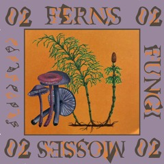 Ferns, Fungi and Moses 02
