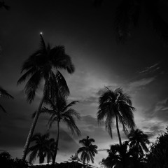 salimander (prod.slugworth)