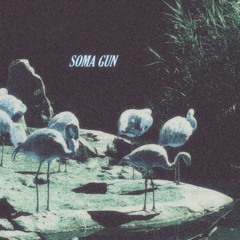 Soma Gun