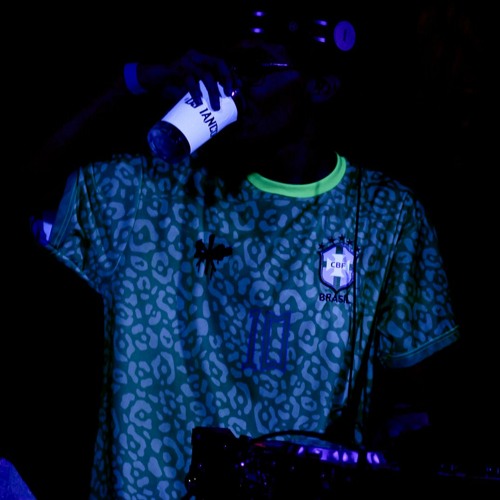 MAS ESSA PIRANHA TRANSA X VEM CAVALGANDO | MC GW & MC PR | DJ IANCO