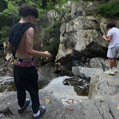 100 prod birdbusinness