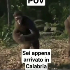 VENGO DALLA CALABRIA-LORIXYS