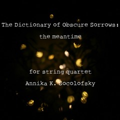 The Dictionary of Obscure Sorrows: the meantime (2019) // Aizuri Quartet