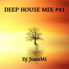 Deep House Mix 41